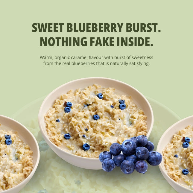 Blueberry Oats 14 Pack